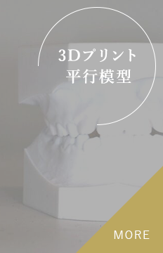 3Dプリント平行模型